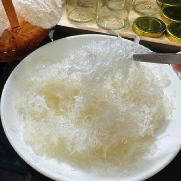 YẾN TƯƠI SỢI NGẮN
