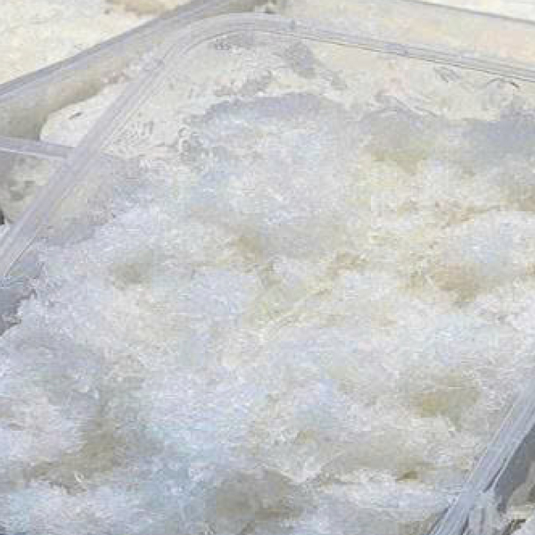 YẾN TƯƠI VỤN
